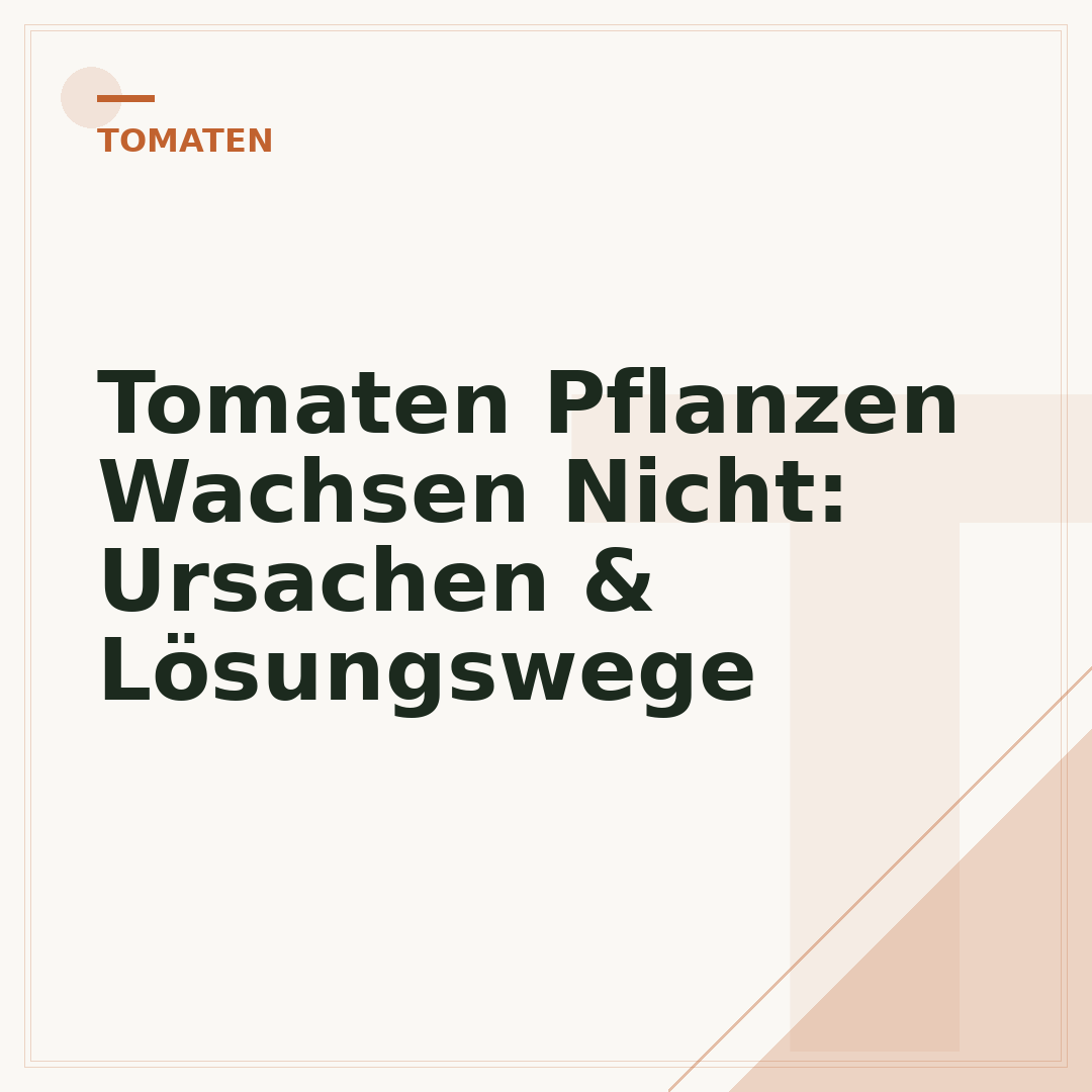 Tomaten Pflanzen Wachsen Nicht: Ursachen & Lösungswege