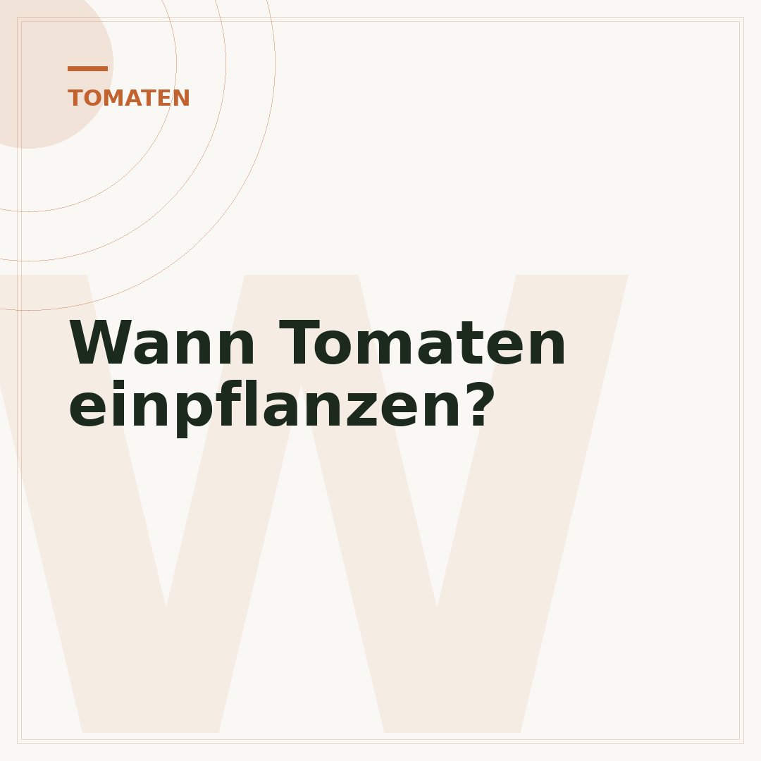 Wann Tomaten einpflanzen?