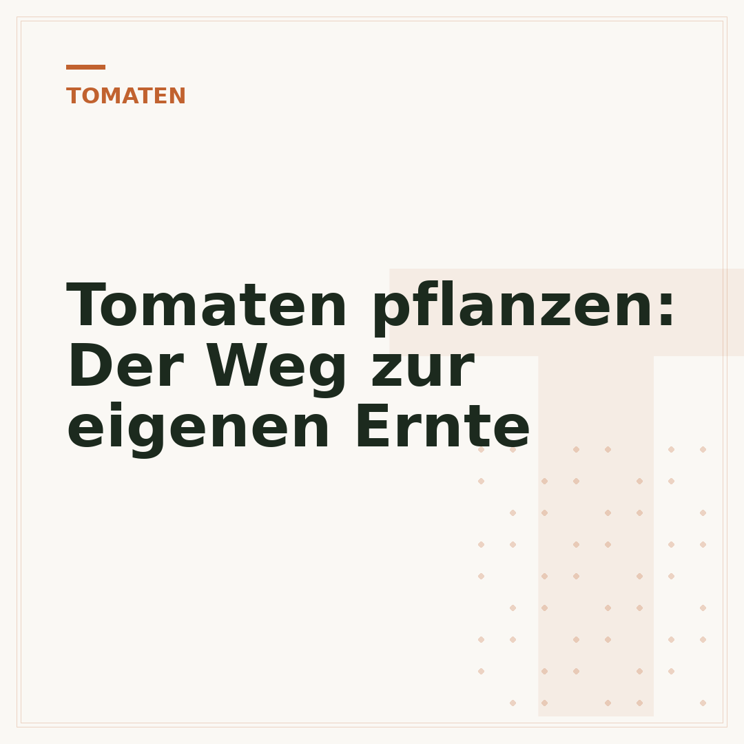 Tomaten pflanzen: Der Weg zur eigenen Ernte