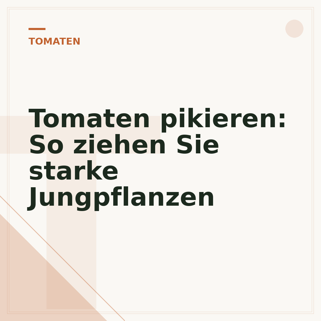 Tomaten pikieren: So ziehen Sie starke Jungpflanzen