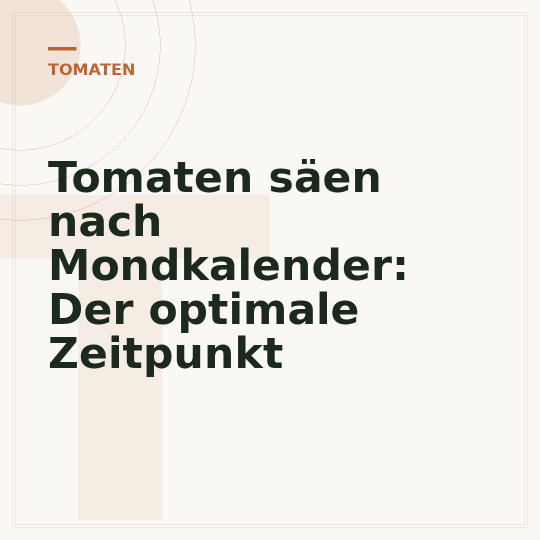 Tomaten säen nach Mondkalender: Der optimale Zeitpunkt