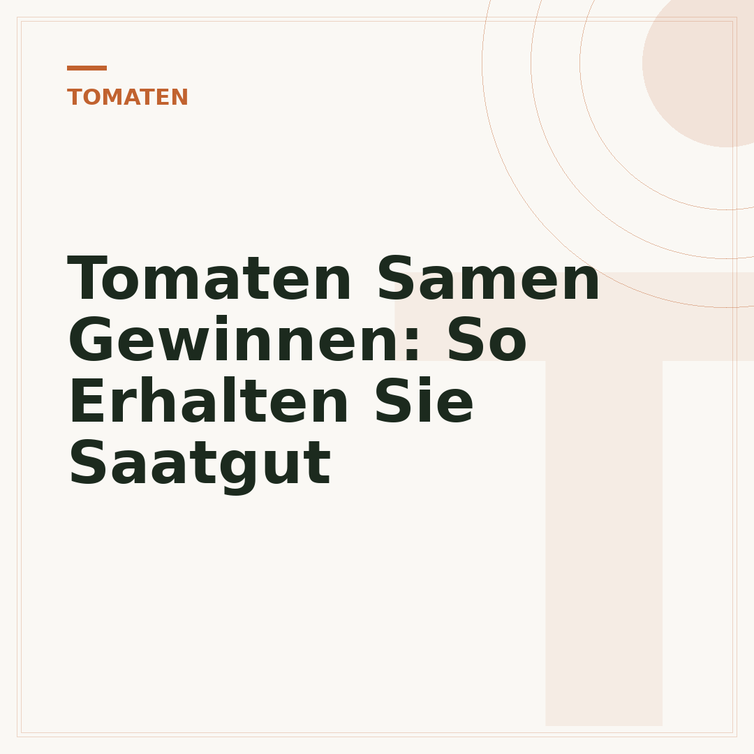 Tomaten Samen Gewinnen: So Erhalten Sie Saatgut