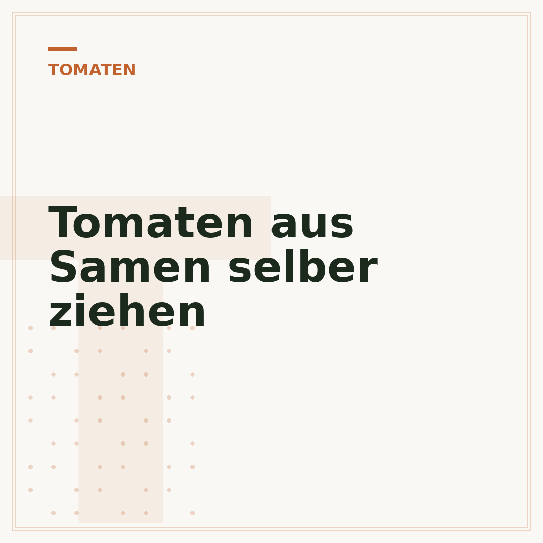 Tomaten aus Samen selber ziehen