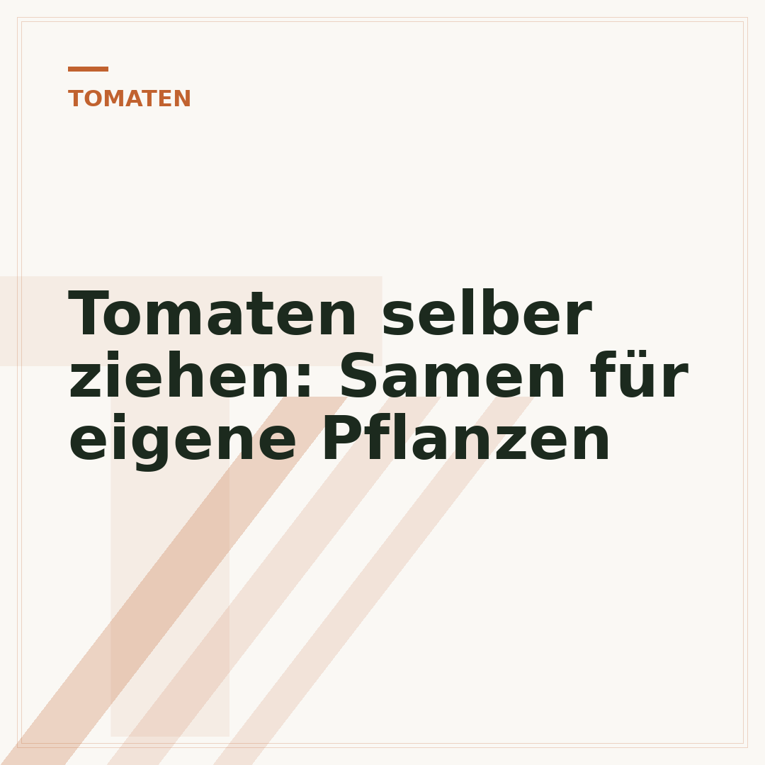 Tomaten selber ziehen: Samen für eigene Pflanzen