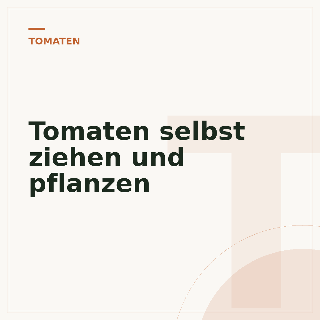 Tomaten selbst ziehen und pflanzen
