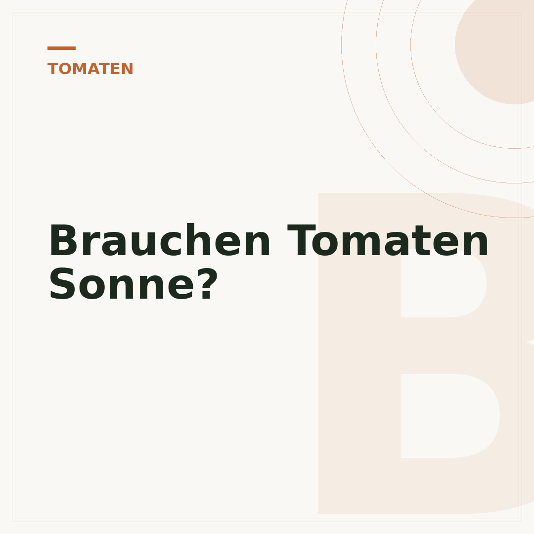 Brauchen Tomaten Sonne?