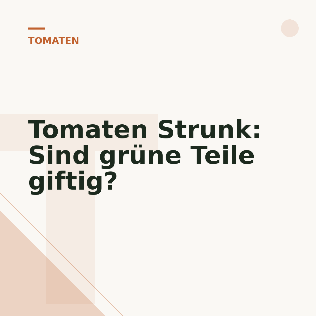 Tomaten Strunk: Sind grüne Teile giftig?