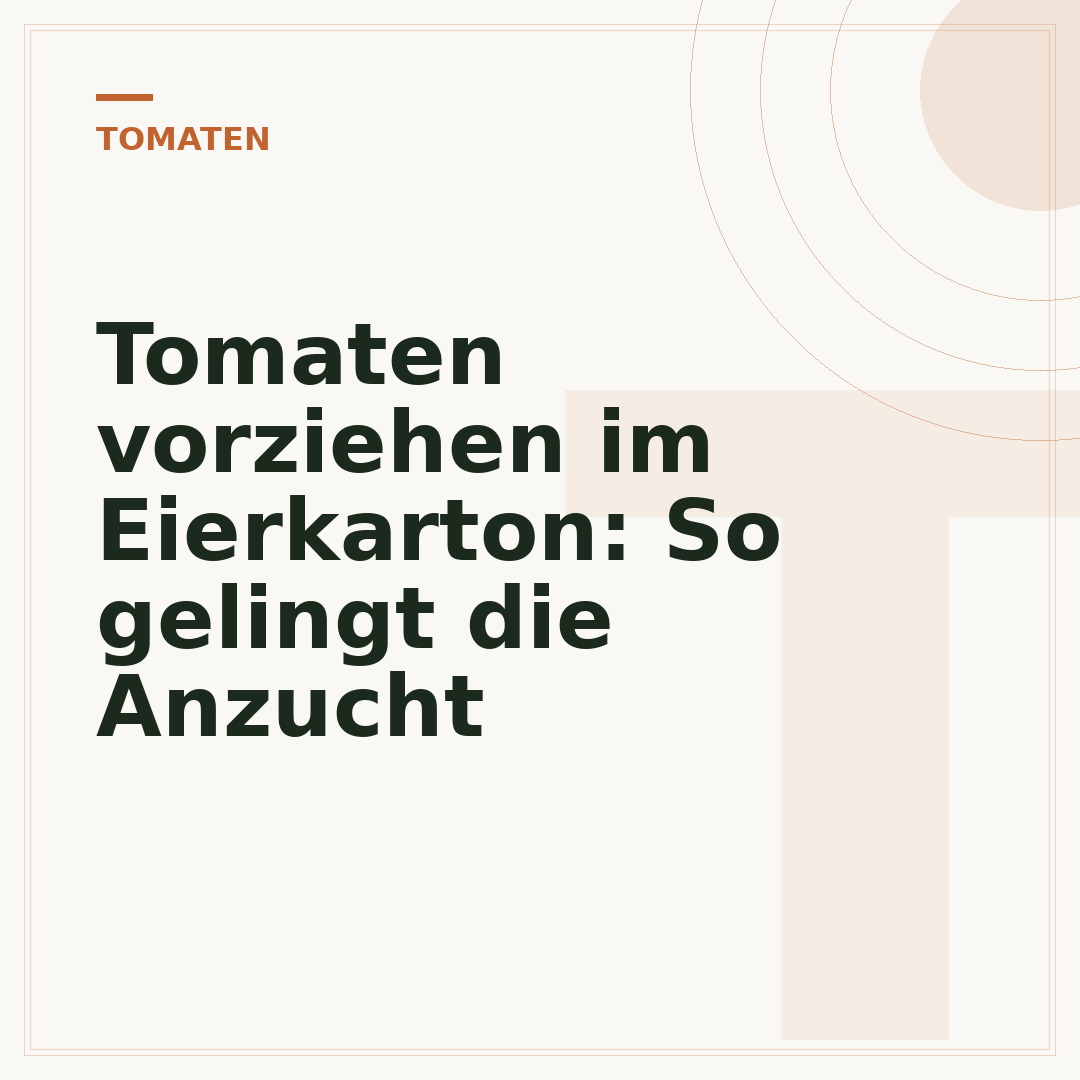 Tomaten vorziehen im Eierkarton: So gelingt die Anzucht