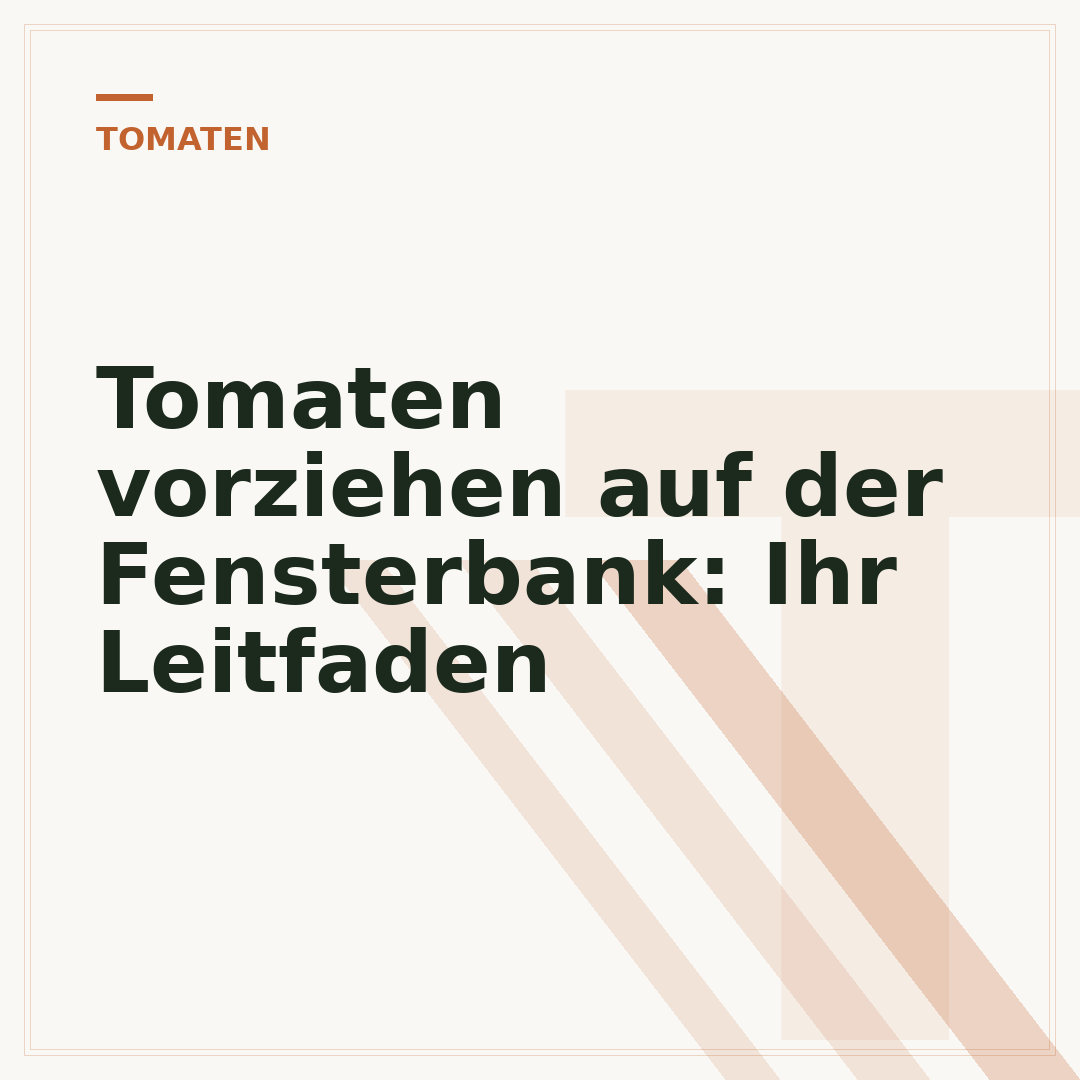 Tomaten vorziehen auf der Fensterbank: Ihr Leitfaden