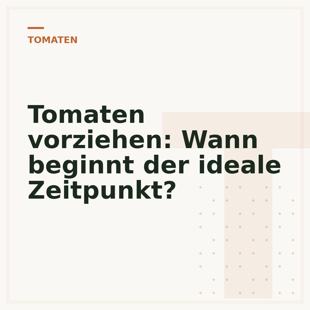 Tomaten vorziehen: Wann beginnt der ideale Zeitpunkt?