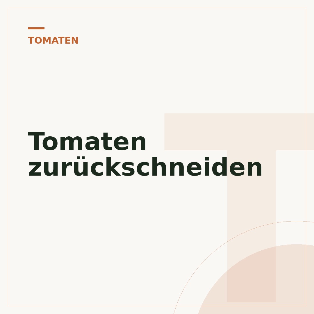 Tomaten zurückschneiden