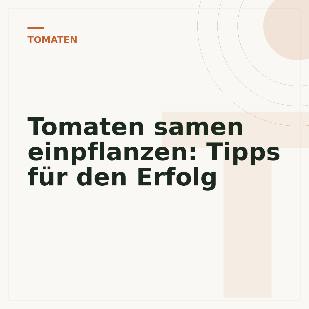 Tomaten samen einpflanzen: Tipps für den Erfolg