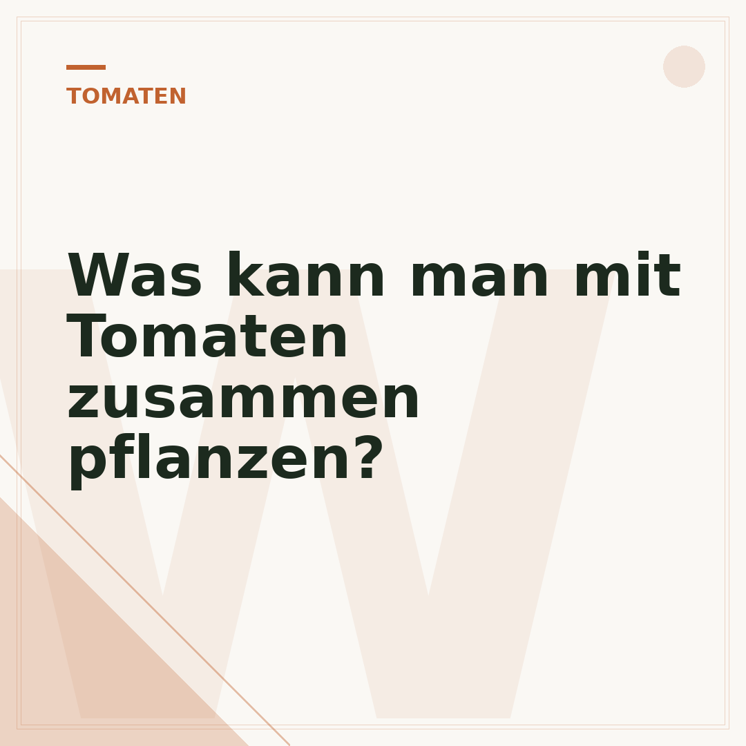 Was kann man mit Tomaten zusammen pflanzen?