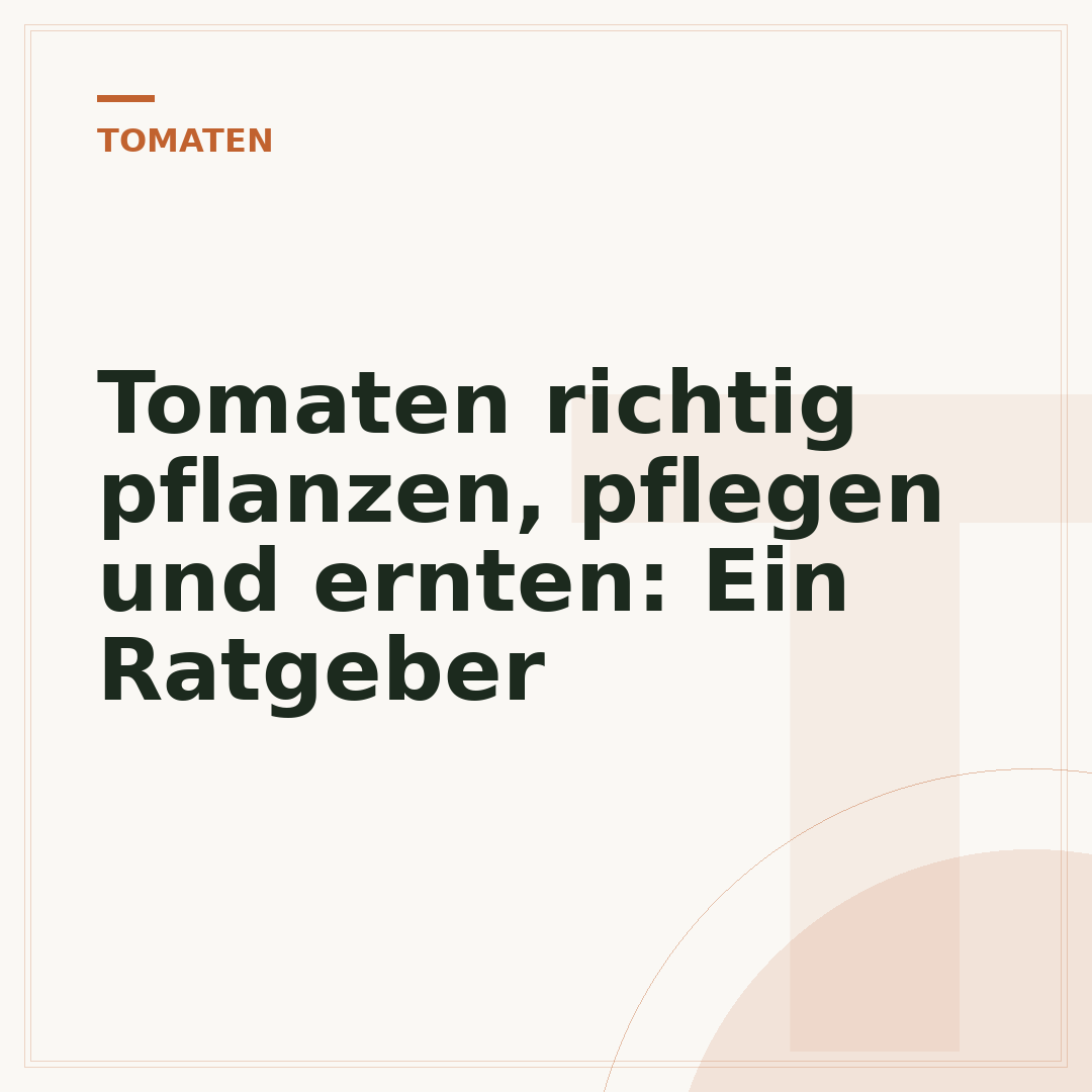 Tomaten richtig pflanzen, pflegen und ernten: Ein Ratgeber