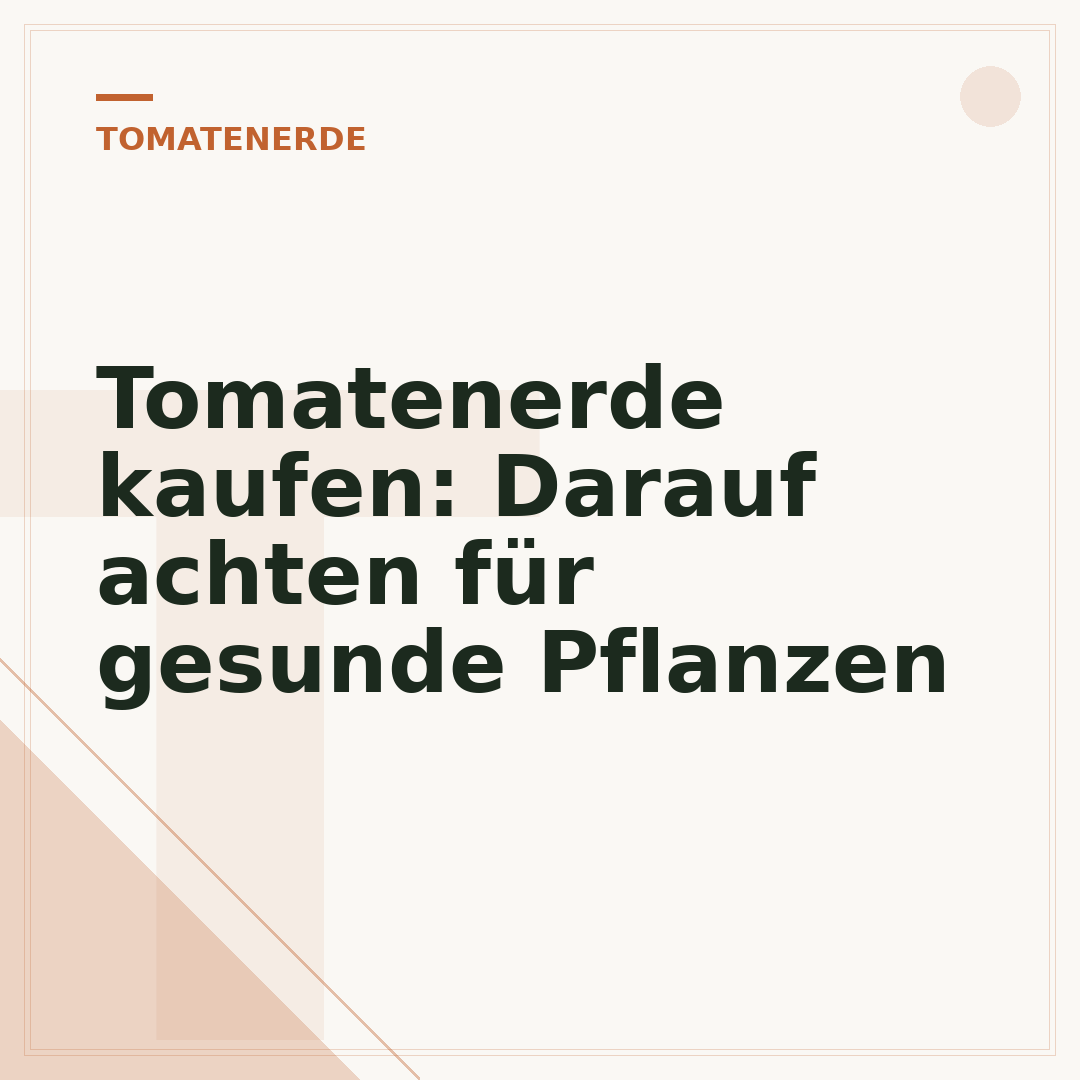 Tomatenerde kaufen: Darauf achten für gesunde Pflanzen