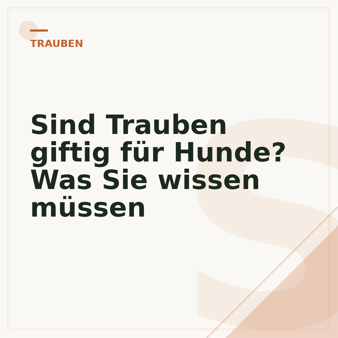 Sind Trauben giftig für Hunde? Was Sie wissen müssen