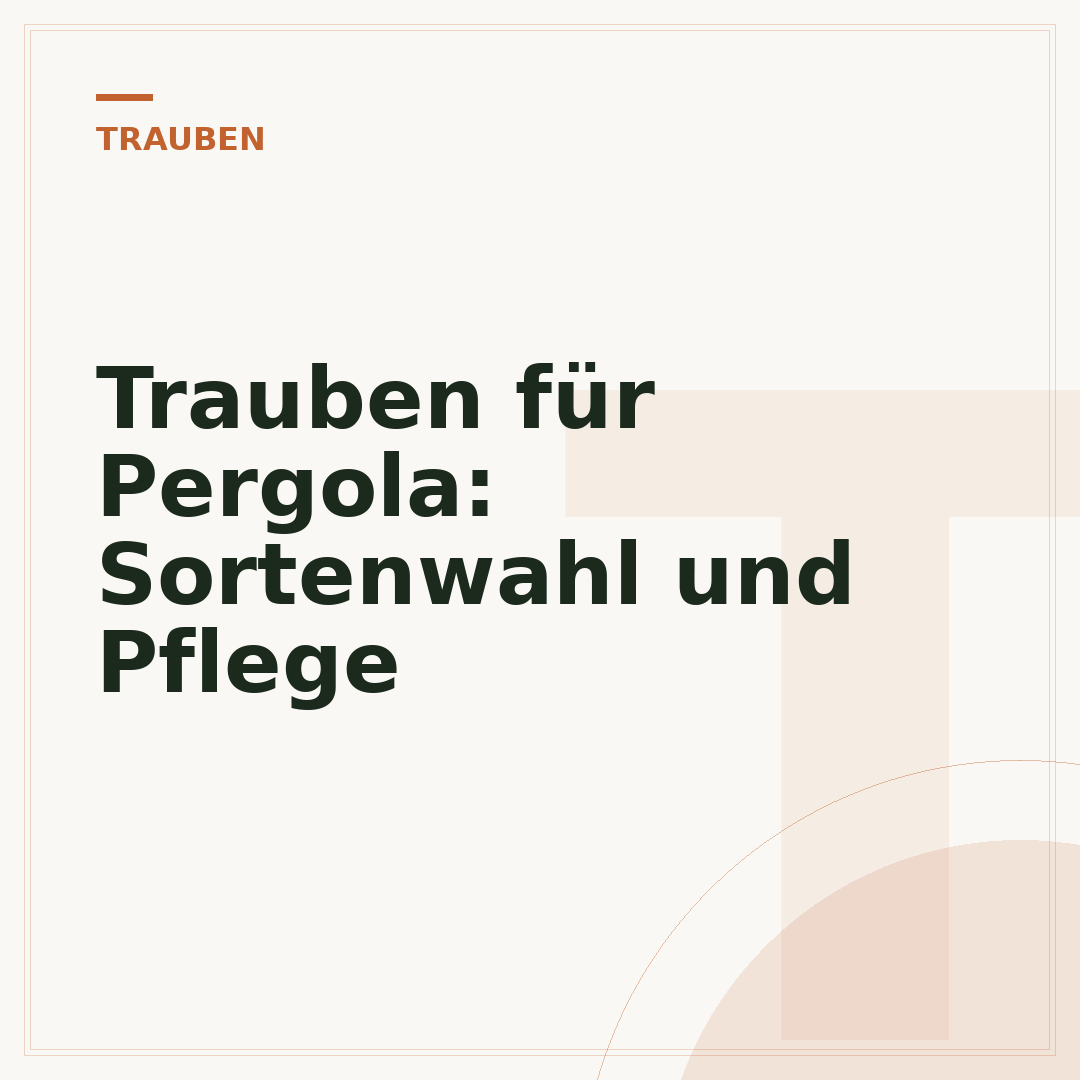 Trauben für Pergola: Sortenwahl und Pflege