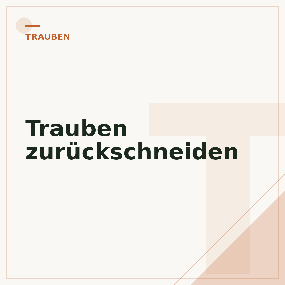 Trauben zurückschneiden