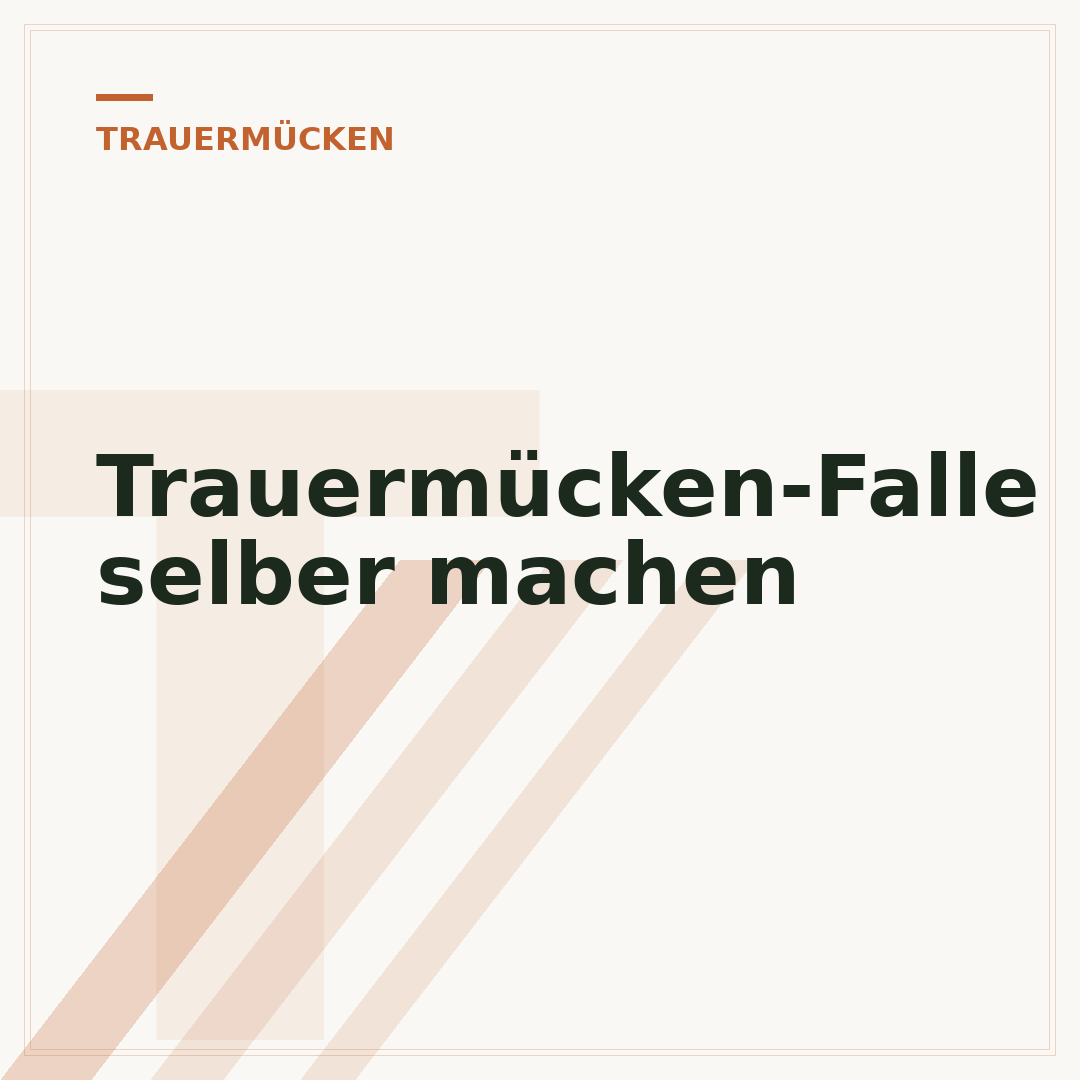 Trauermücken-Falle selber machen