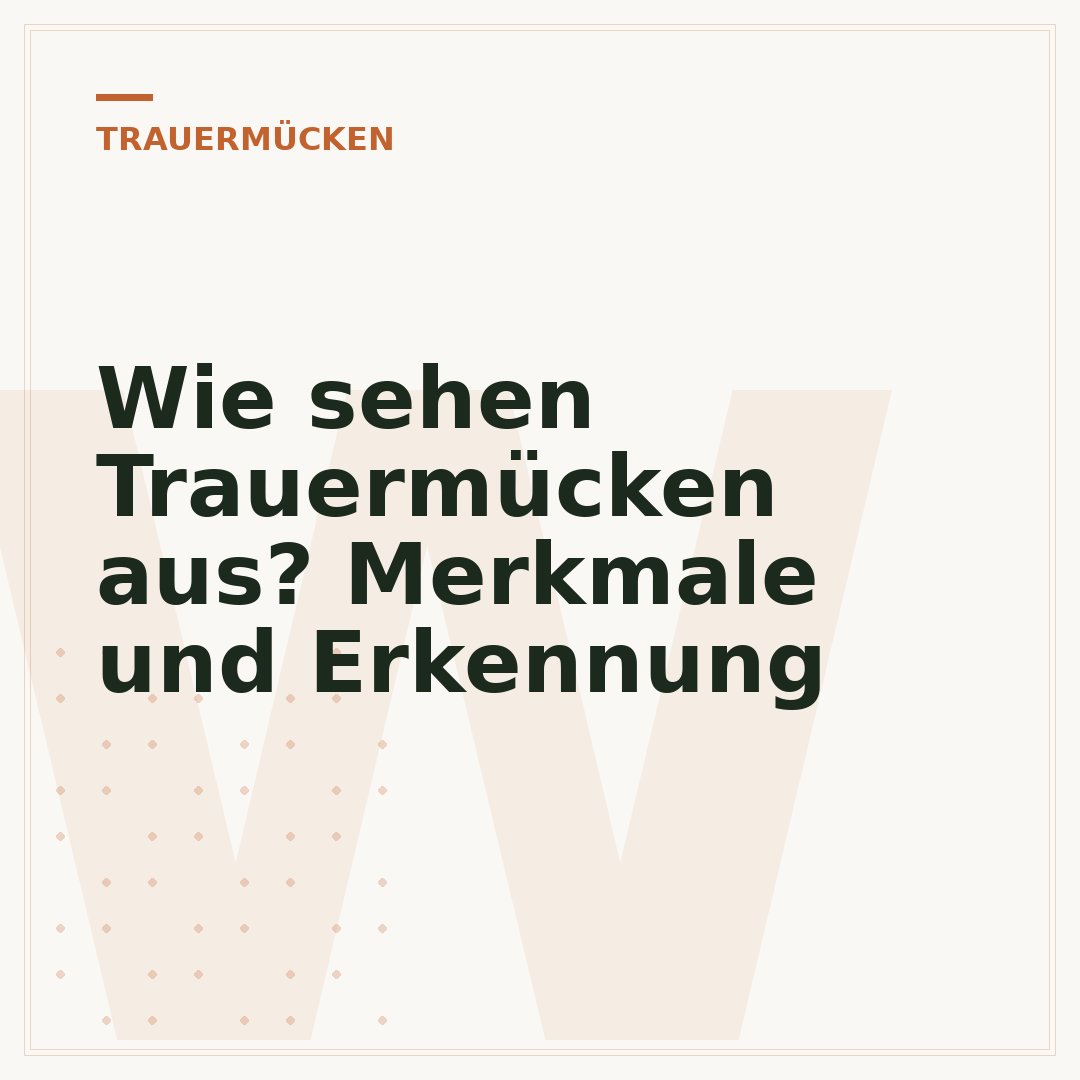 Wie sehen Trauermücken aus? Merkmale und Erkennung