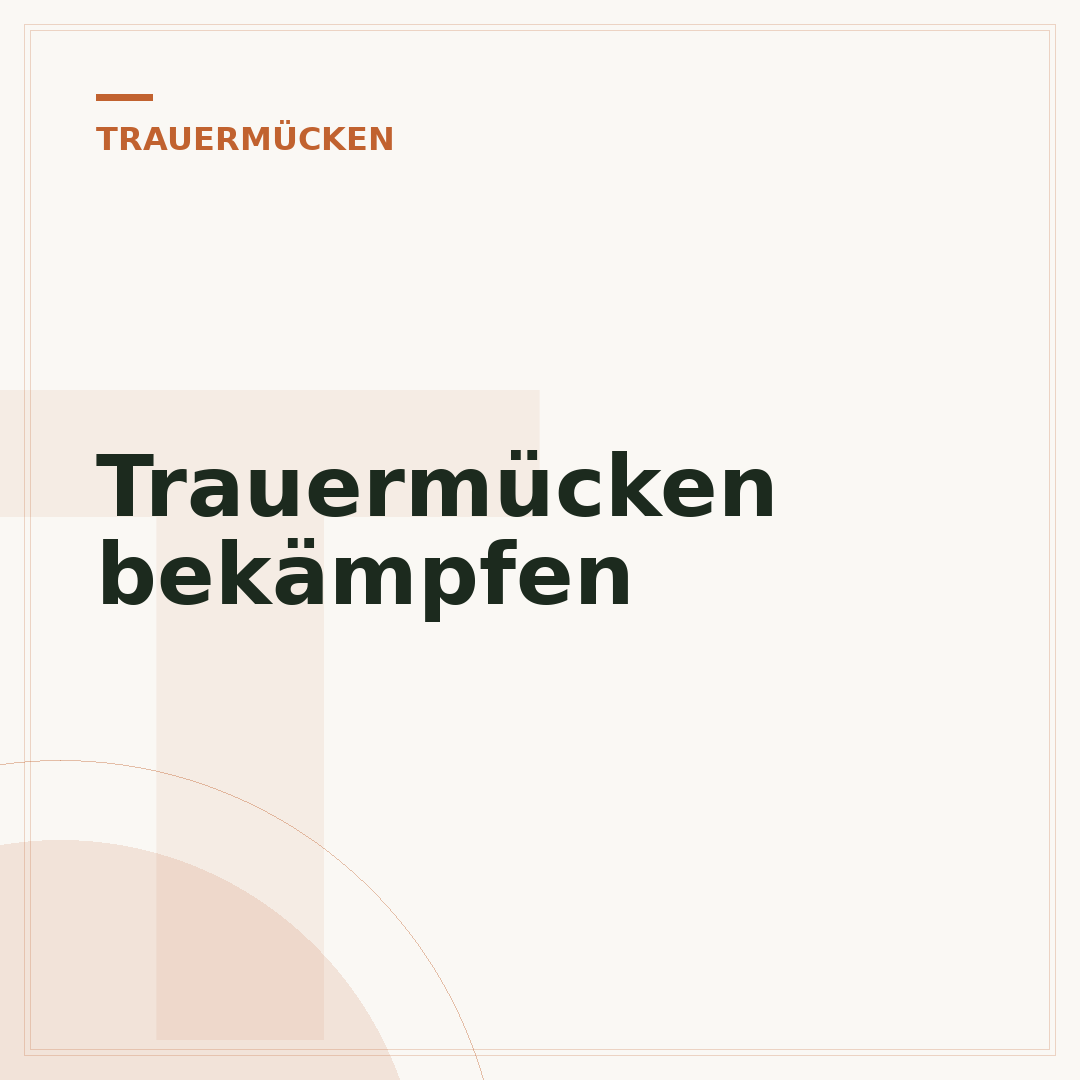 Trauermücken bekämpfen