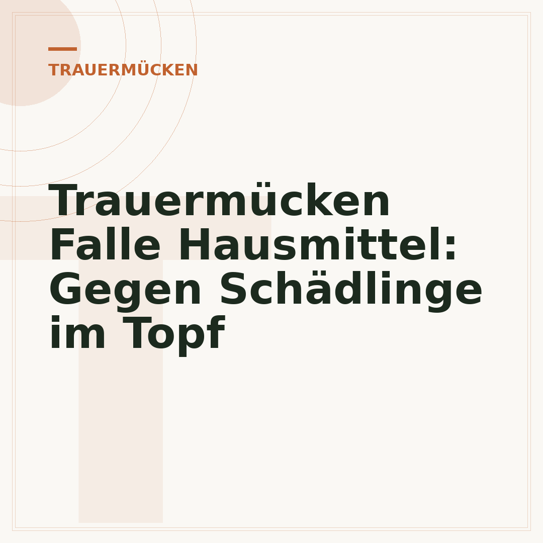 Trauermücken Falle Hausmittel: Gegen Schädlinge im Topf