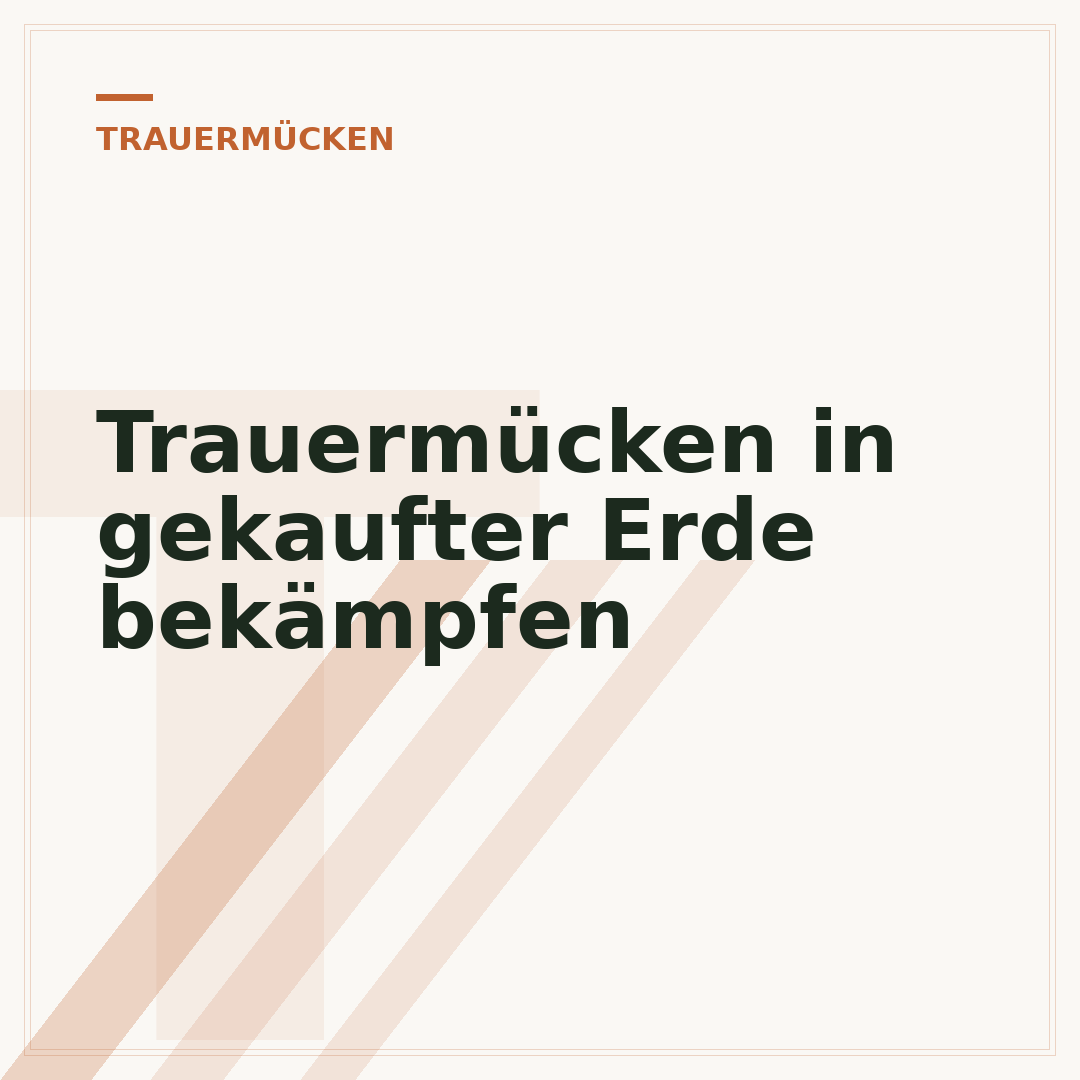 Trauermücken in gekaufter Erde bekämpfen