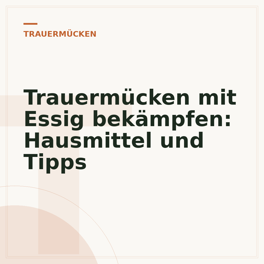 Trauermücken mit Essig bekämpfen: Hausmittel und Tipps