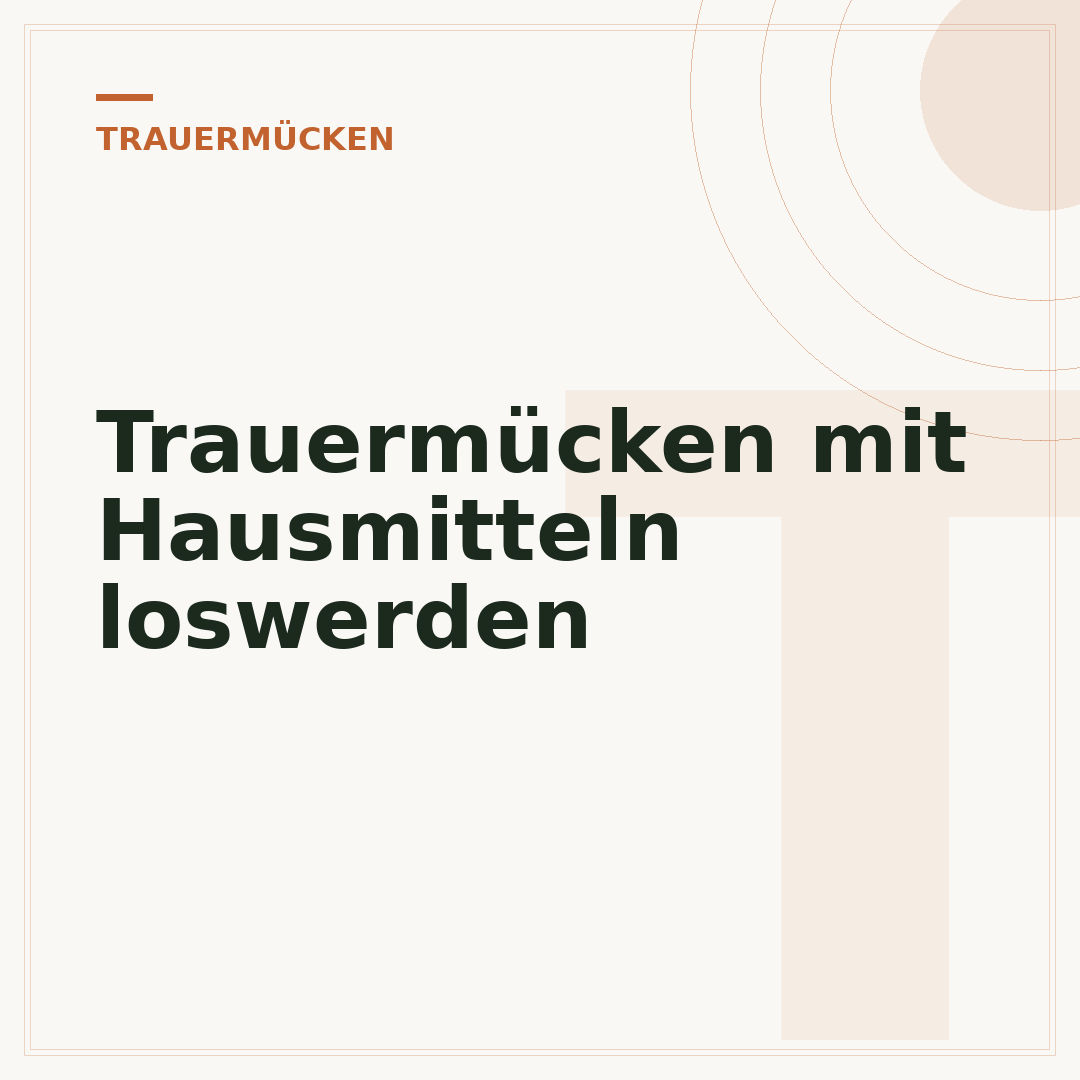 Trauermücken mit Hausmitteln loswerden