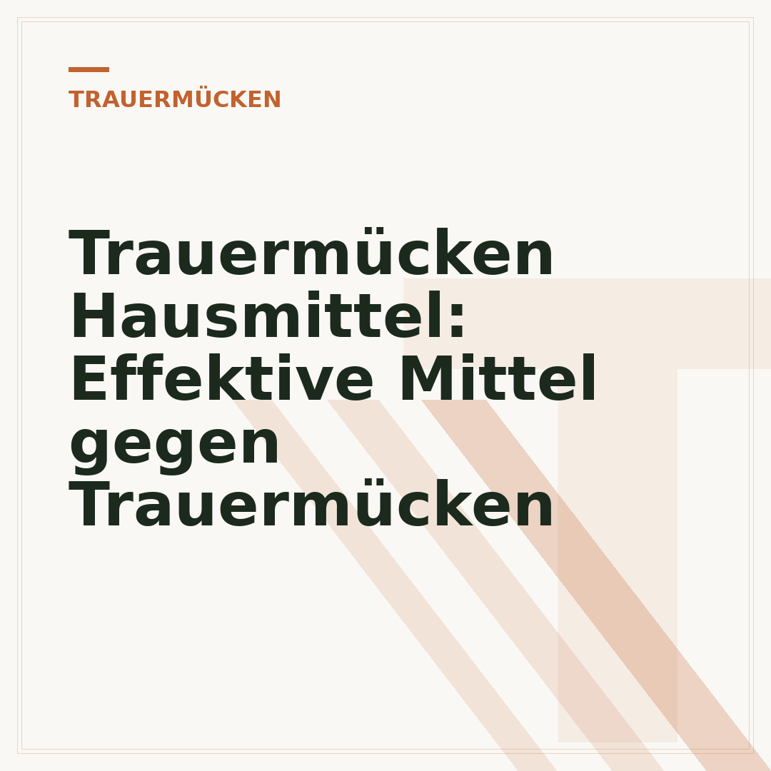 Trauermücken Hausmittel: Effektive Mittel gegen Trauermücken