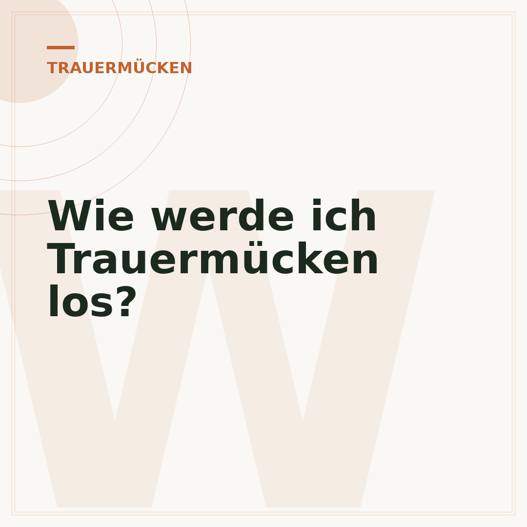 Wie werde ich Trauermücken los?