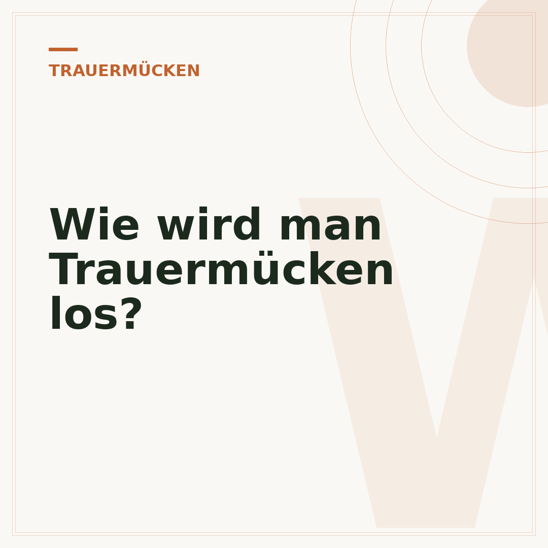 Wie wird man Trauermücken los?