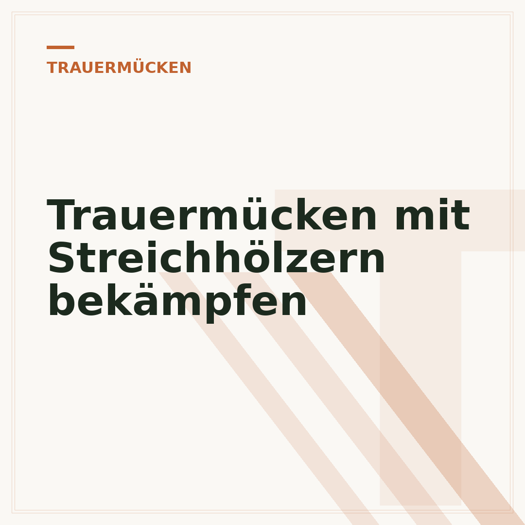 Trauermücken mit Streichhölzern bekämpfen