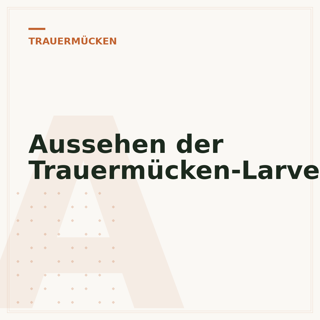 Aussehen der Trauermücken-Larven