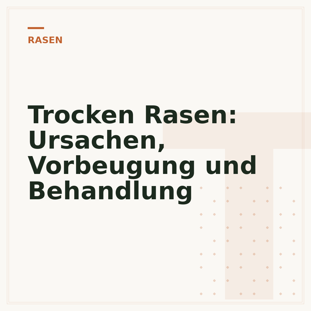 Trocken Rasen: Ursachen, Vorbeugung und Behandlung
