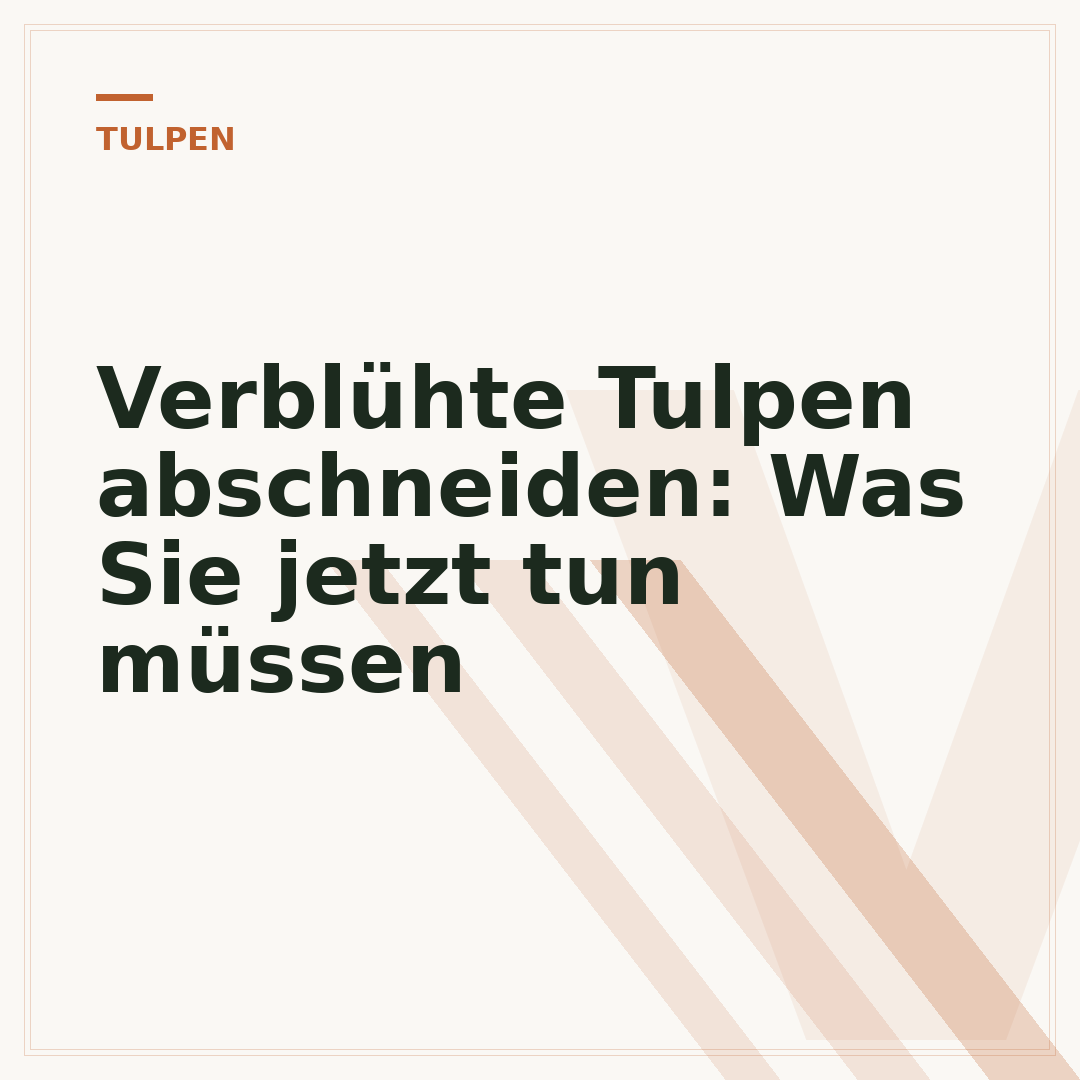Verblühte Tulpen abschneiden: Was Sie jetzt tun müssen