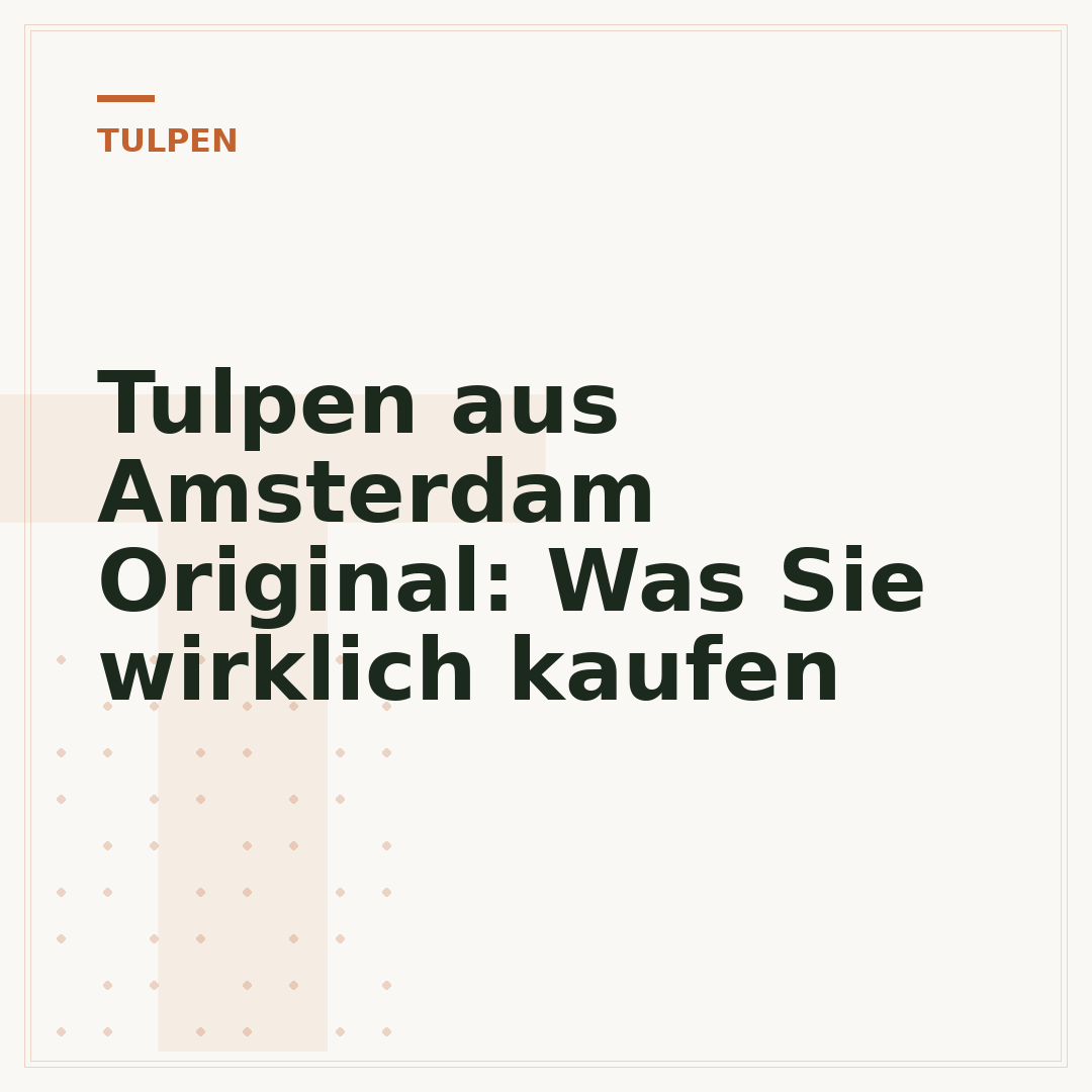 Tulpen aus Amsterdam Original: Was Sie wirklich kaufen