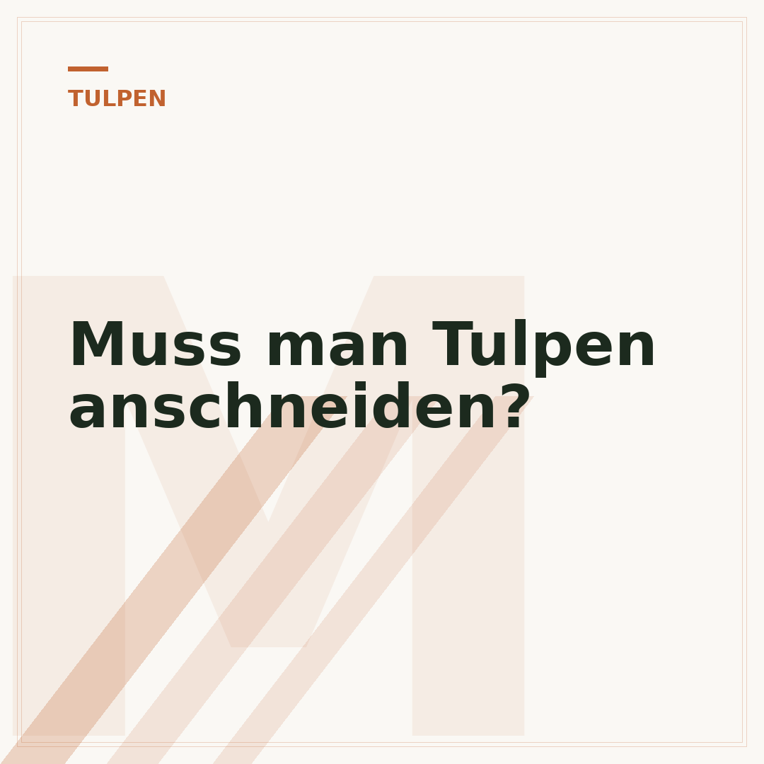 Muss man Tulpen anschneiden?