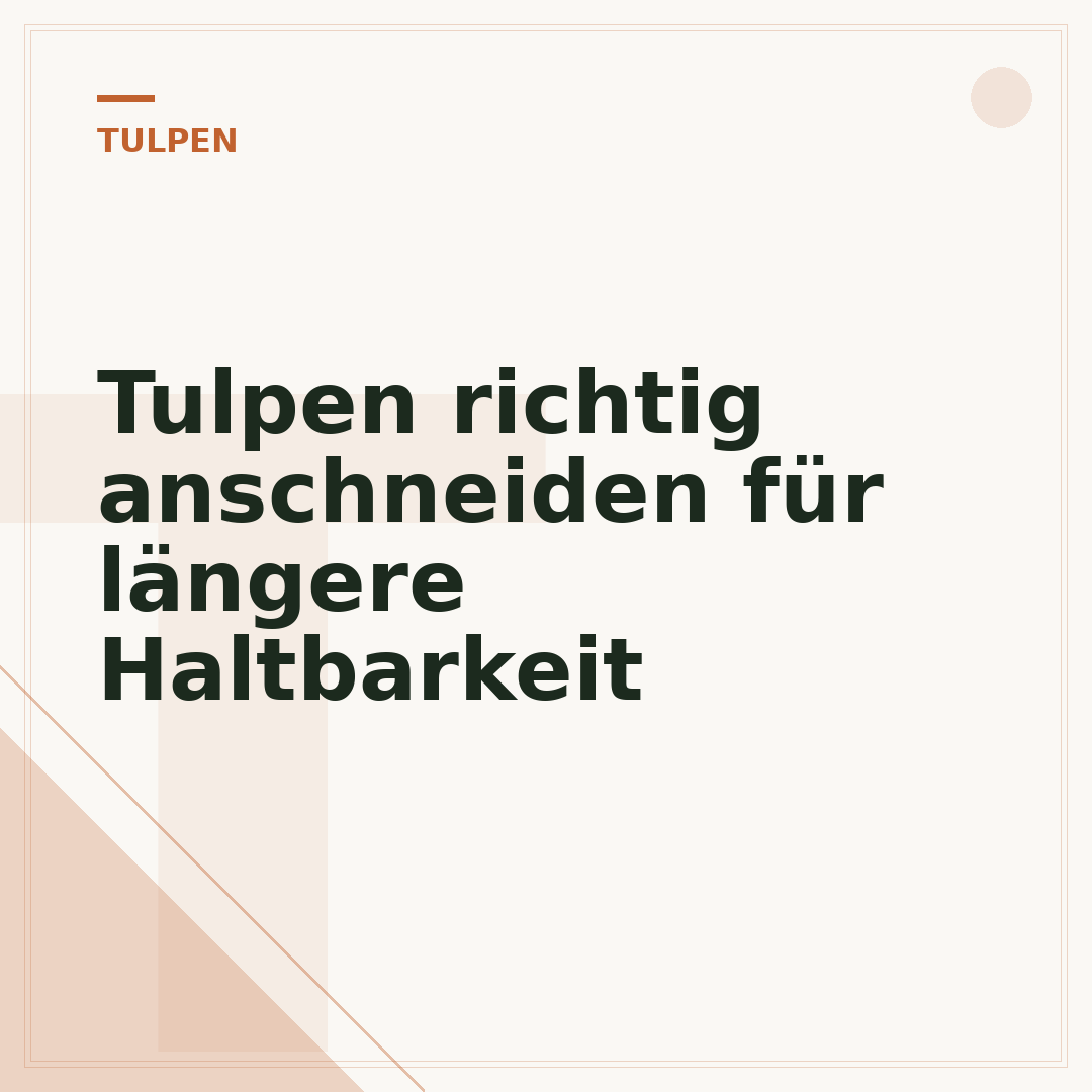 Tulpen richtig anschneiden für längere Haltbarkeit
