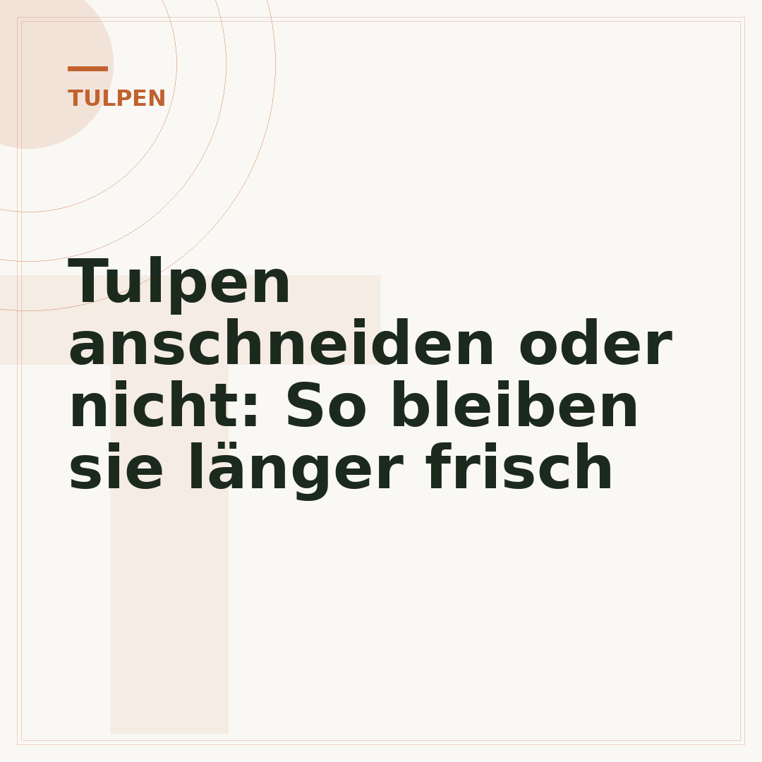 Tulpen anschneiden oder nicht: So bleiben sie länger frisch