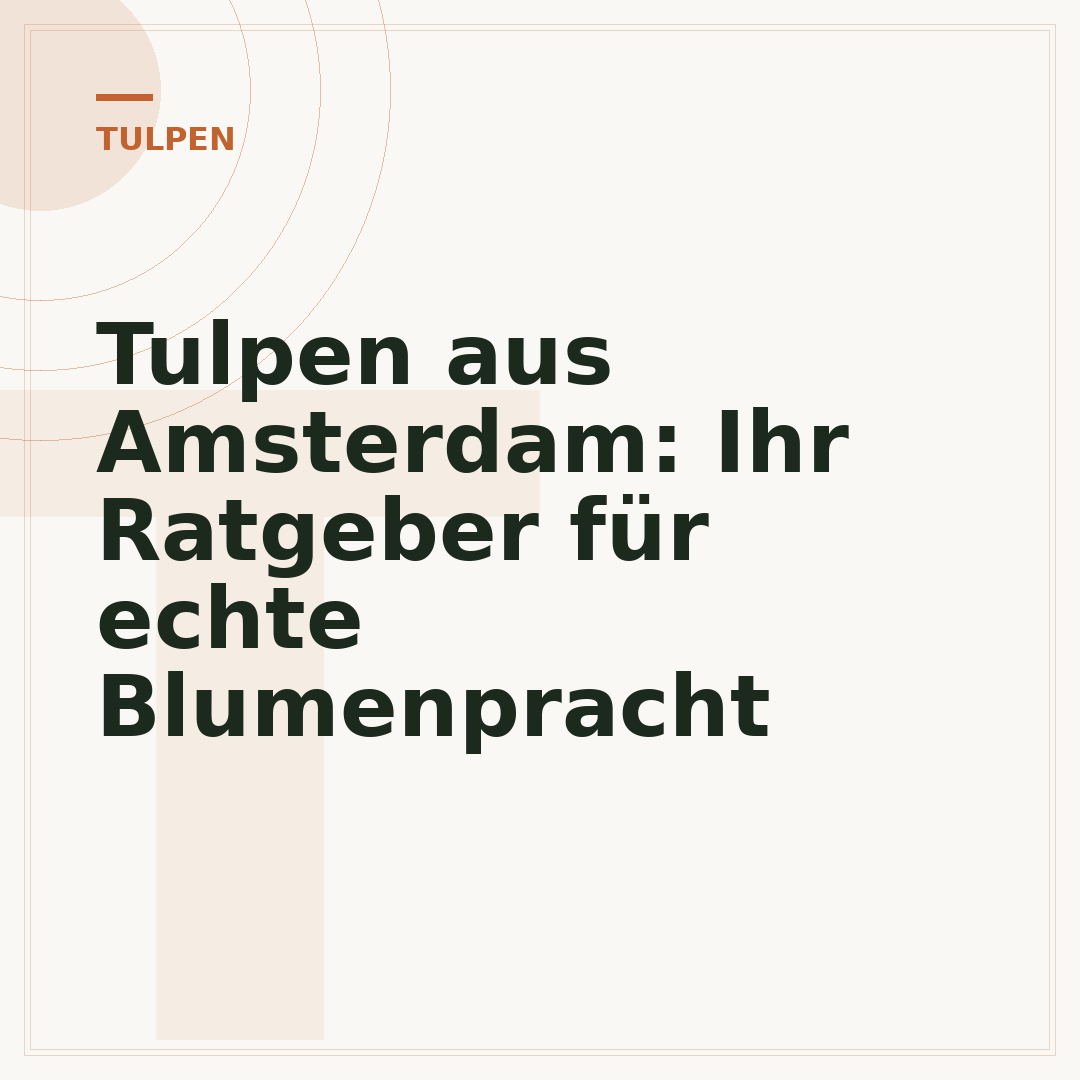 Tulpen aus Amsterdam: Ihr Ratgeber für echte Blumenpracht