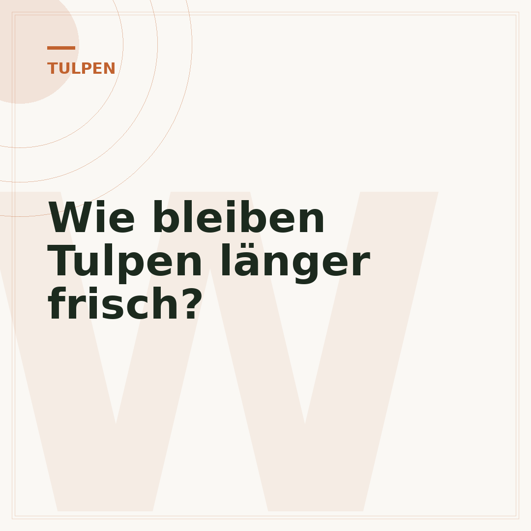 Wie bleiben Tulpen länger frisch?