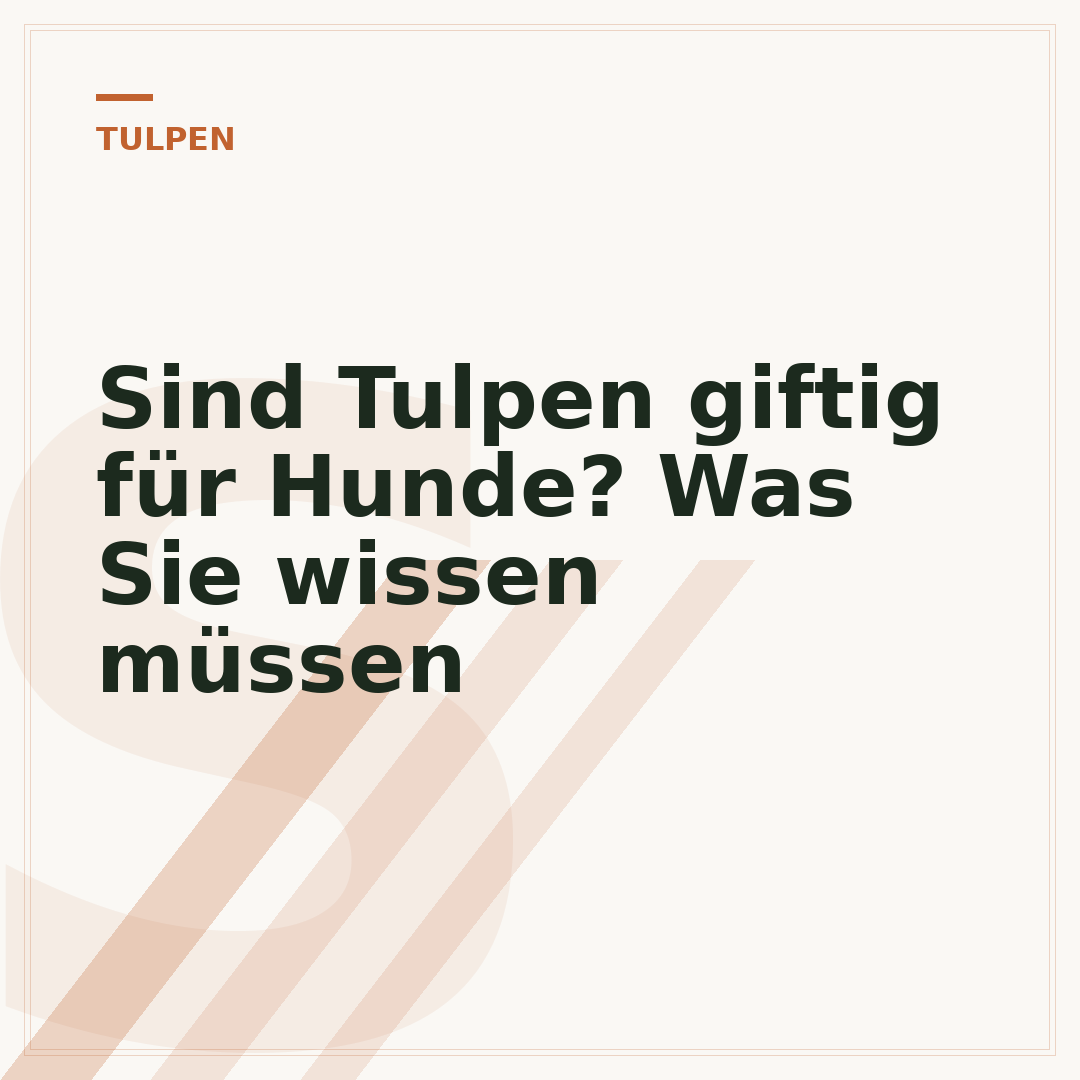 Sind Tulpen giftig für Hunde? Was Sie wissen müssen