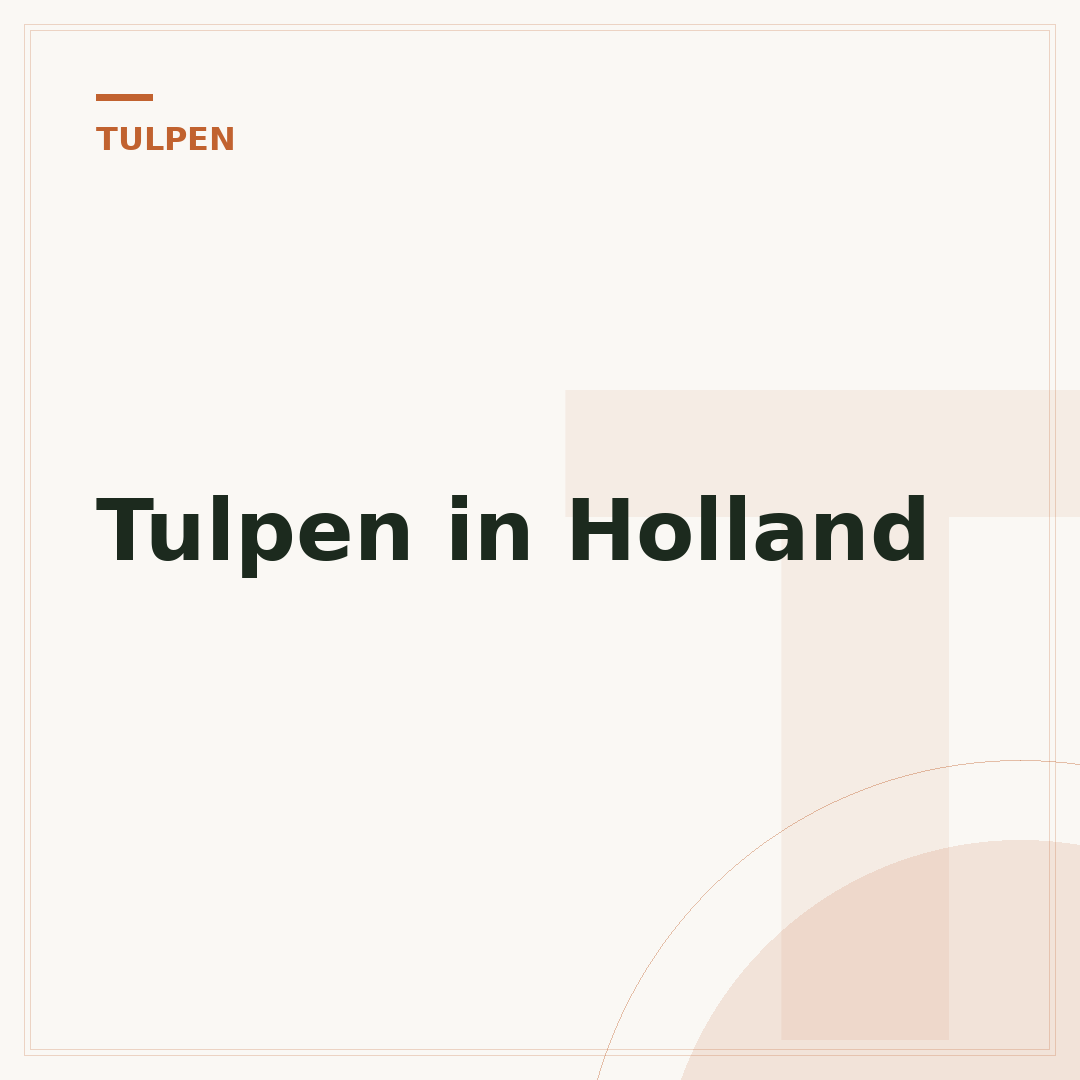Tulpen in Holland
