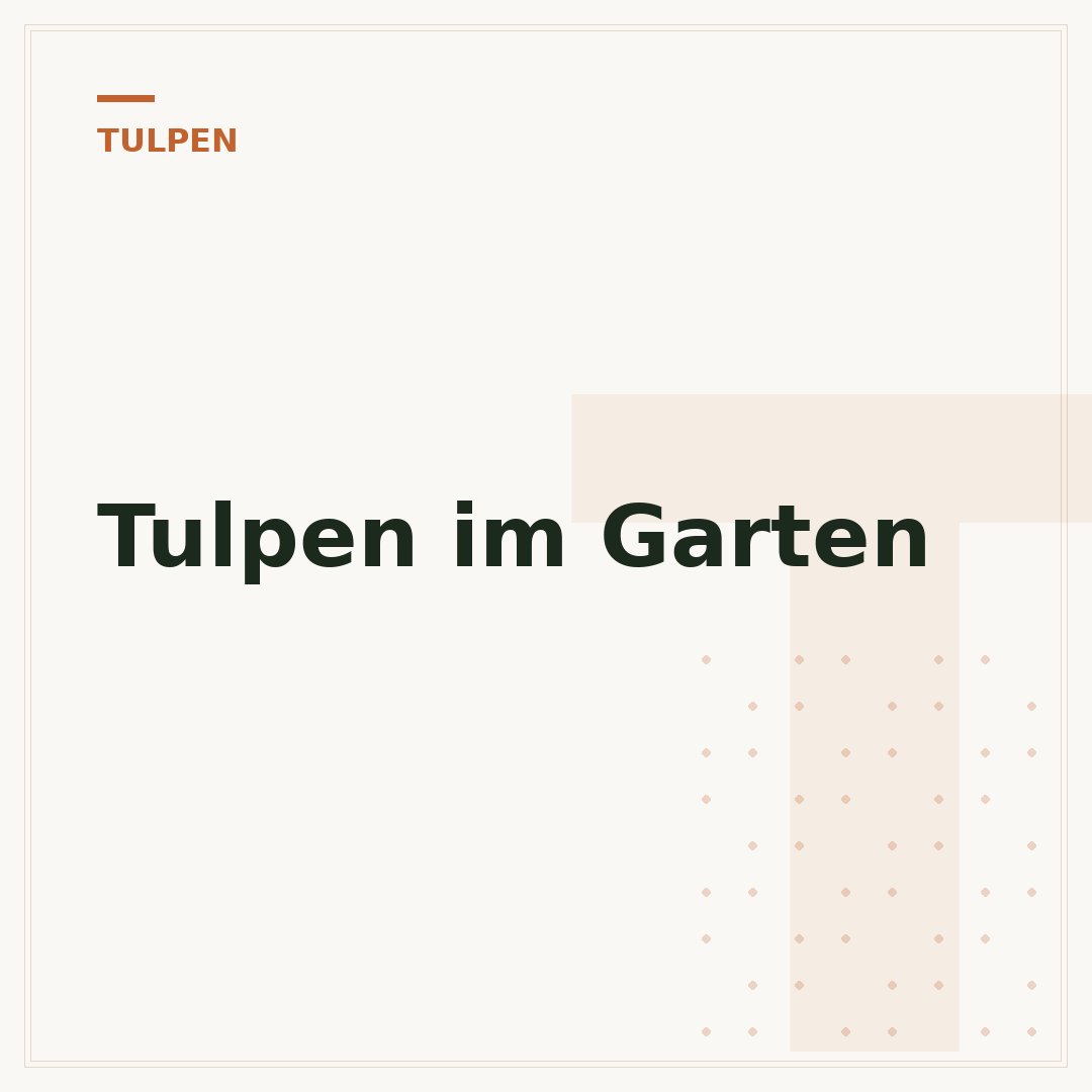 Tulpen im Garten