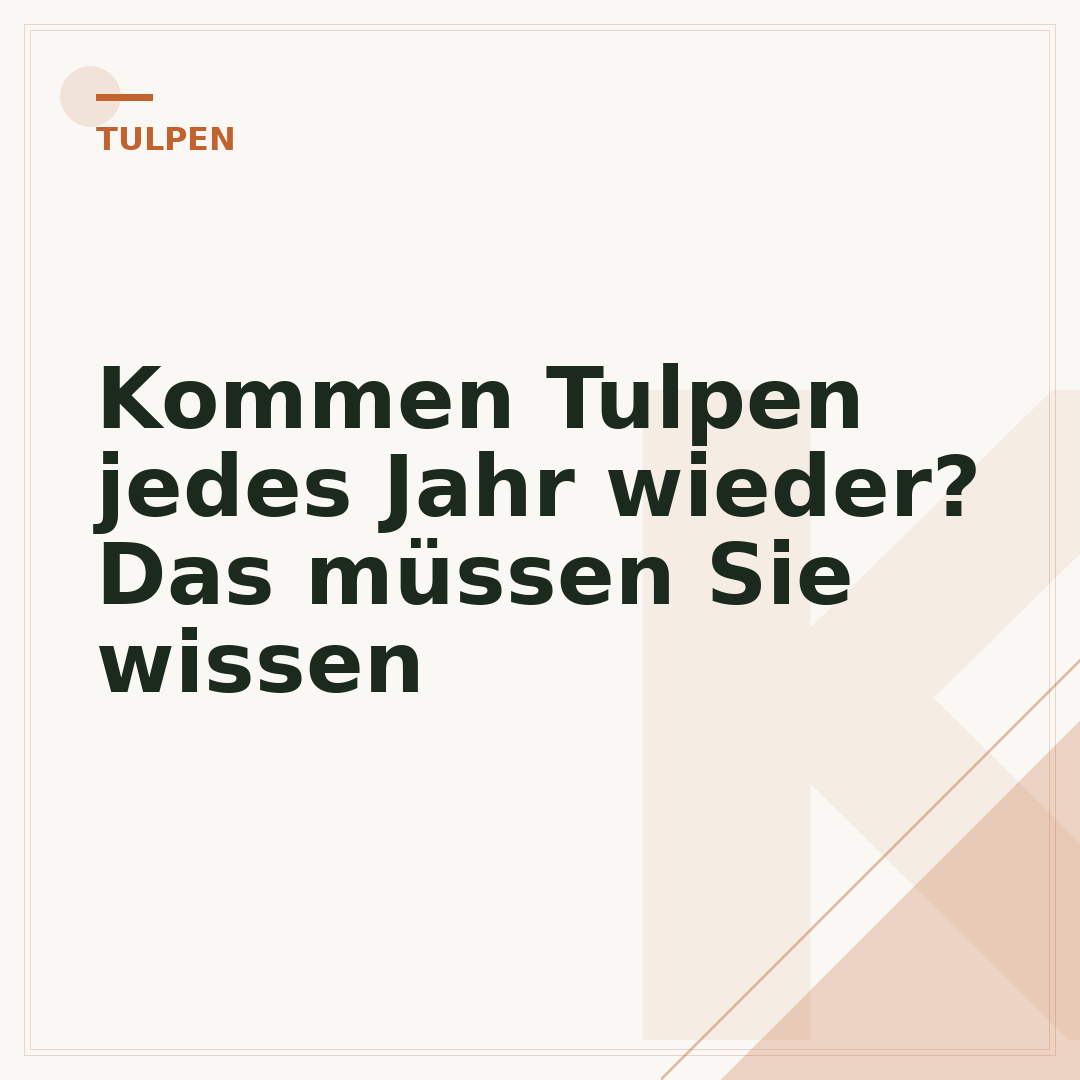 Kommen Tulpen jedes Jahr wieder? Das müssen Sie wissen