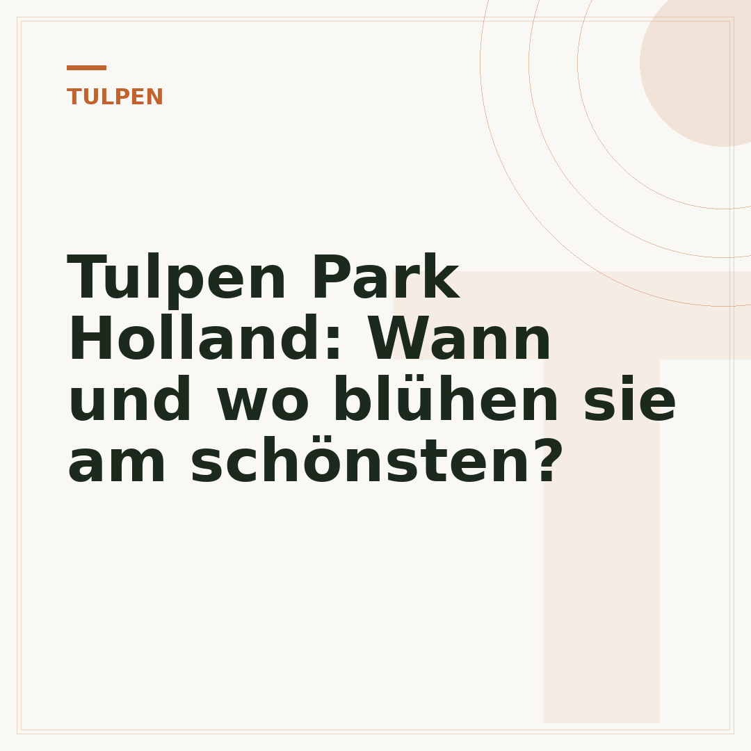 Tulpen Park Holland: Wann und wo blühen sie am schönsten?