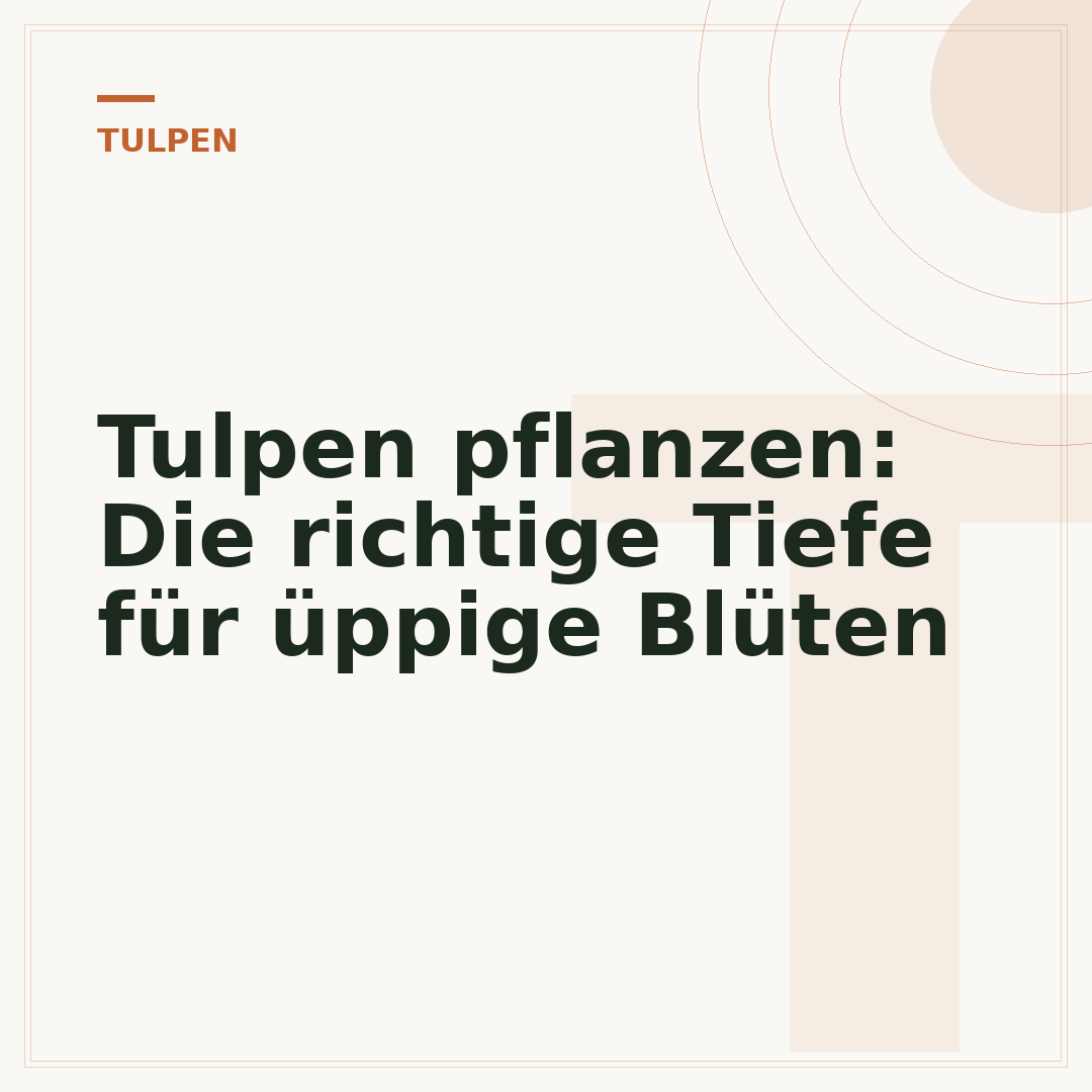 Tulpen pflanzen: Die richtige Tiefe für üppige Blüten