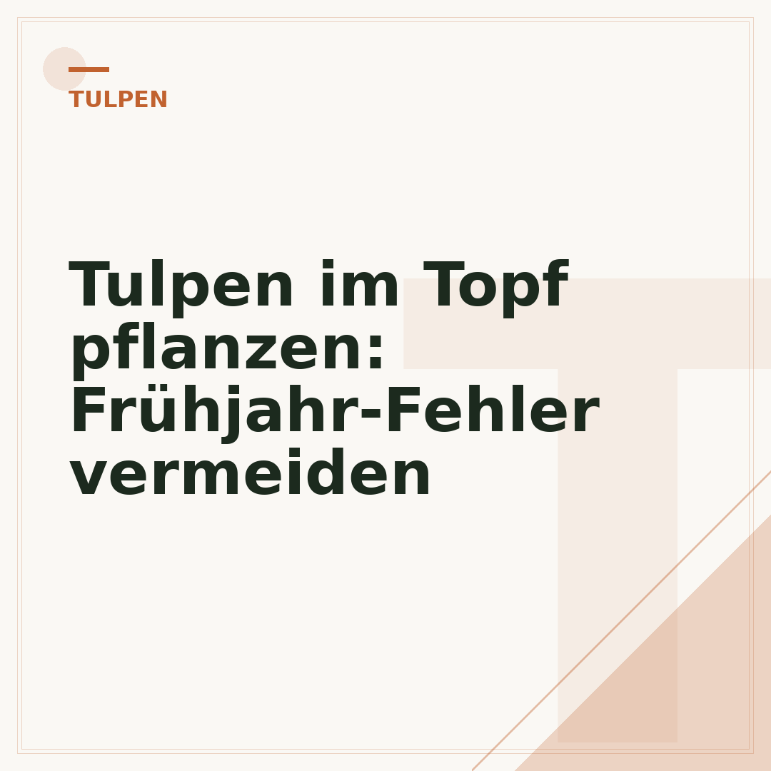Tulpen im Topf pflanzen: Frühjahr-Fehler vermeiden