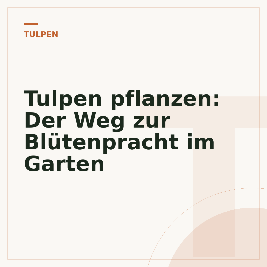 Tulpen pflanzen: Der Weg zur Blütenpracht im Garten